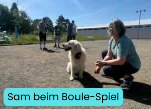 Bild-Sam beim Boule-Spiel